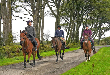 Equestrian at Emmetts