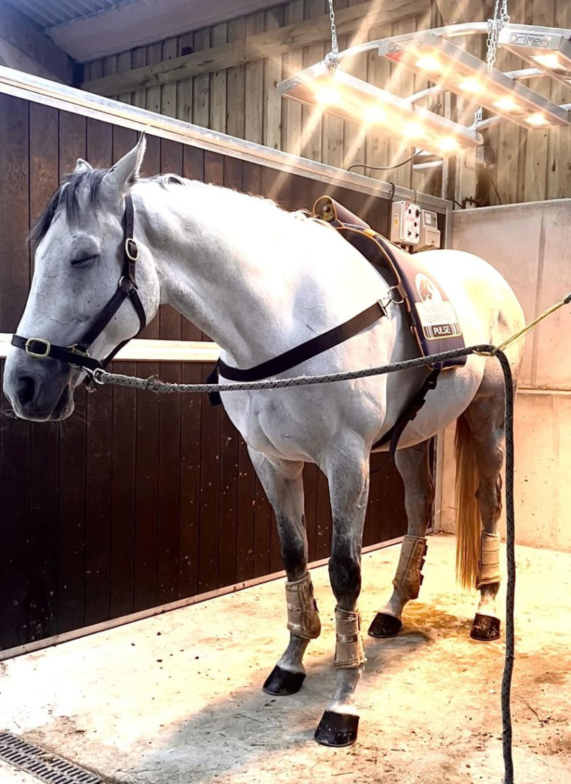 309430917 10223522673827606 5776426212484093493 n