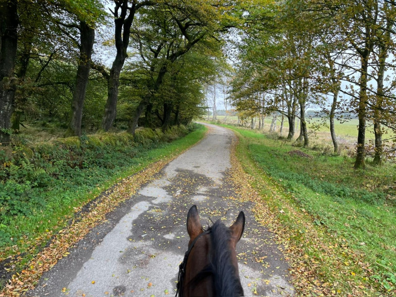 ae8ccd77 1a30 49cb a8b4 58f00545dc67